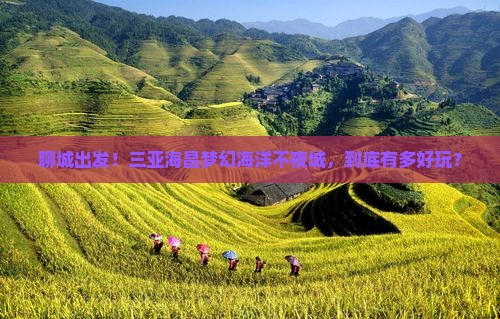 聊城出发三亚海昌梦幻海洋不夜城哪里玩