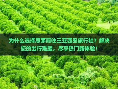 思茅前往三亚西岛旅行社