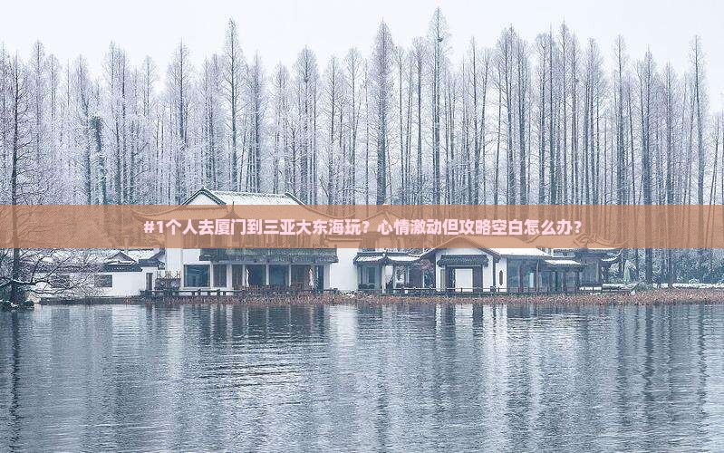 厦门出发三亚大东海个人游