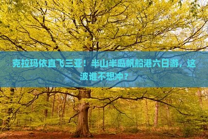 克拉玛依前往三亚半山半岛帆船港六日游