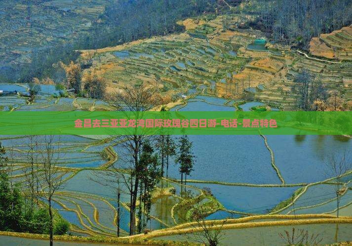金昌去三亚亚龙湾国际玫瑰谷四日游