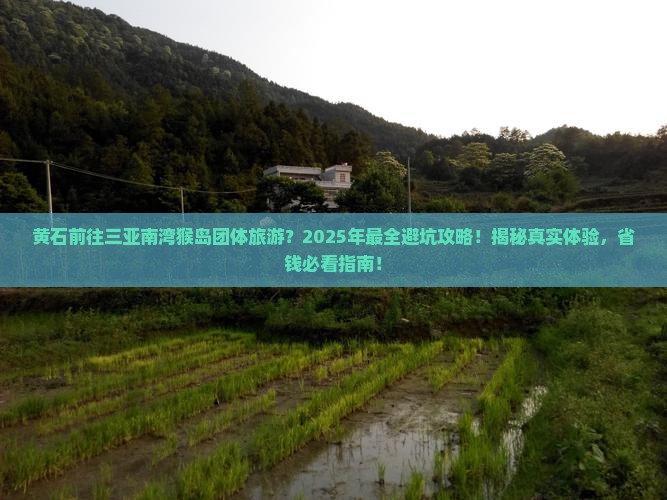 黄石前往三亚南湾猴岛团体旅游