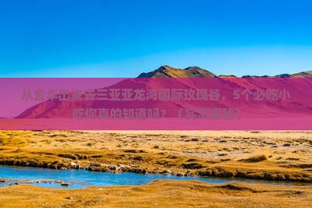 金华去三亚亚龙湾国际玫瑰谷旅游小吃