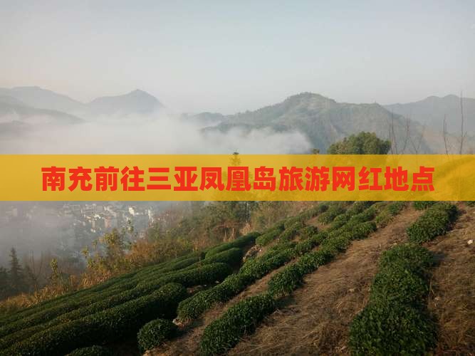 南充前往三亚凤凰岛旅游网红地点
