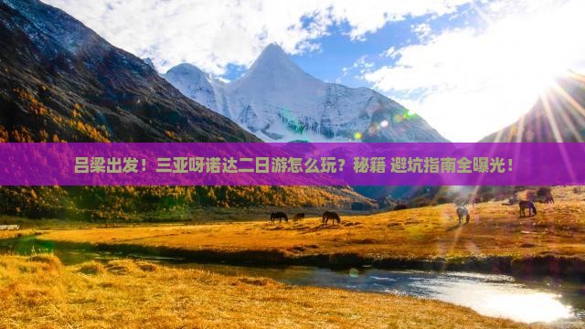 吕梁出发三亚呀诺达景区二日游
