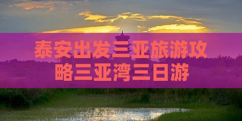泰安去三亚三亚湾三日游