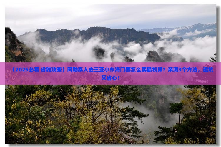 阿勒泰去三亚小东海门票