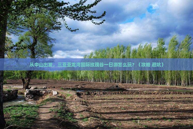 中山出发三亚亚龙湾国际玫瑰谷一日游