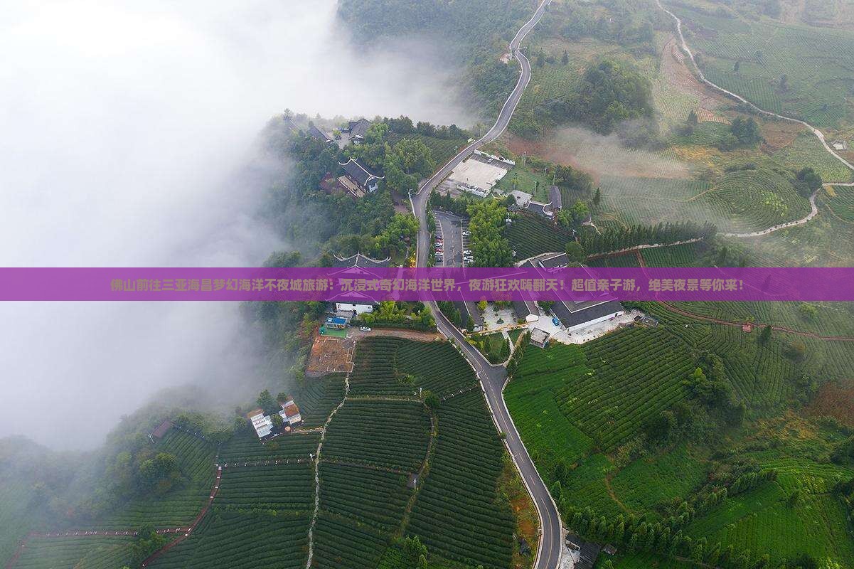 佛山前往三亚海昌梦幻海洋不夜城旅游