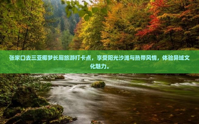 张家口去三亚椰梦长廊旅游打卡点