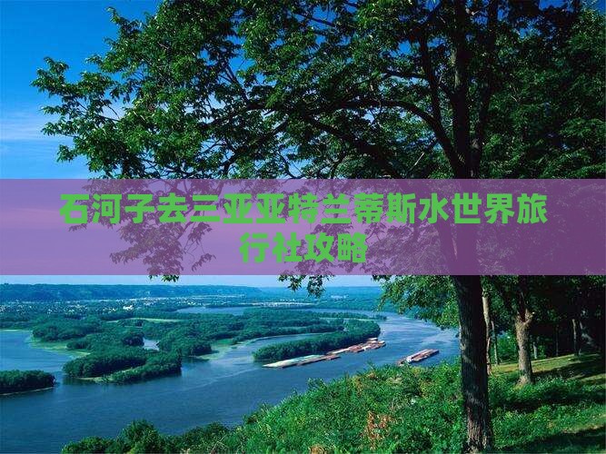 石河子去三亚亚特兰蒂斯水世界旅行社
