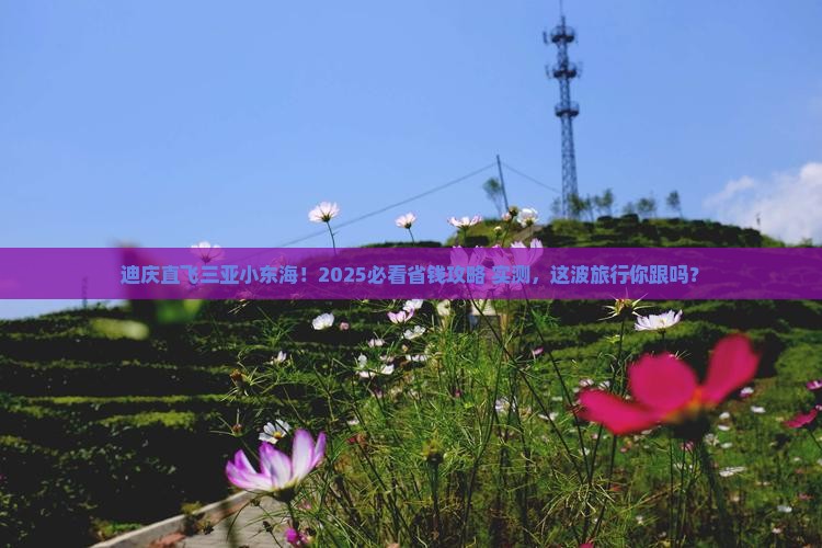 迪庆去三亚小东海旅行社