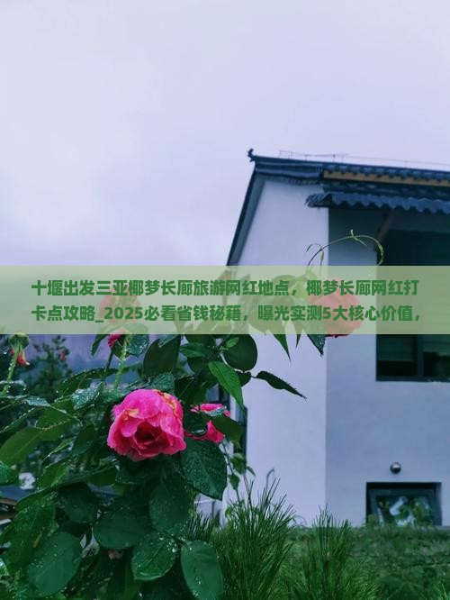 十堰出发三亚椰梦长廊旅游网红地点