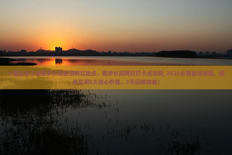 十堰出发三亚椰梦长廊旅游网红地点