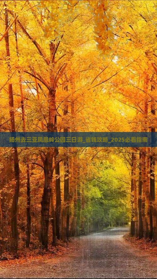 扬州去三亚凤凰岭公园三日游