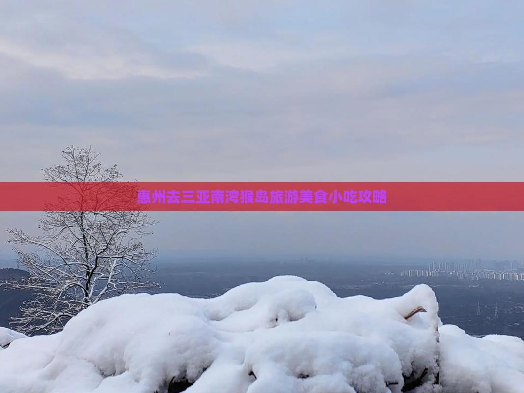 惠州去三亚南湾猴岛旅游小吃