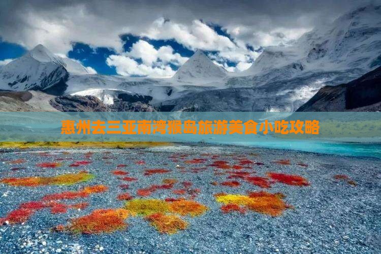 惠州去三亚南湾猴岛旅游小吃