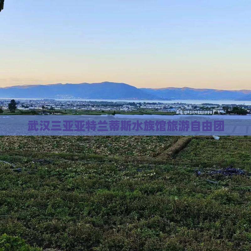 武汉前往三亚亚特兰蒂斯水族馆自由团