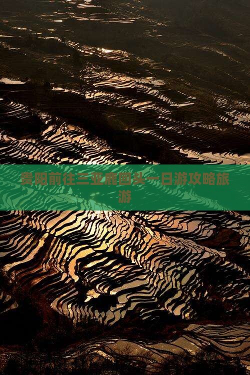 贵阳前往三亚鹿回头一日游