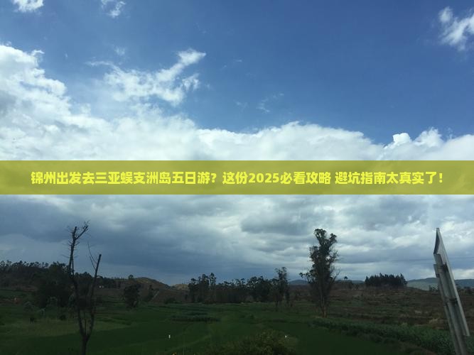 锦州出发三亚蜈支洲岛五日游
