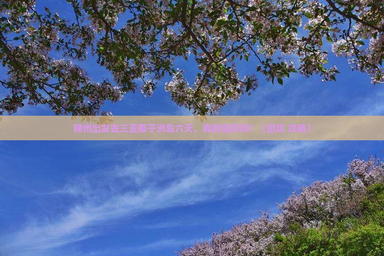 锦州出发三亚椰子洲岛六日游