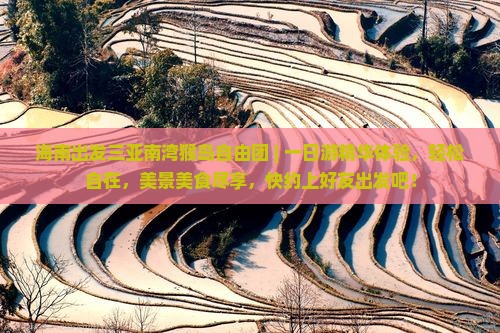 海南出发三亚南湾猴岛自由团