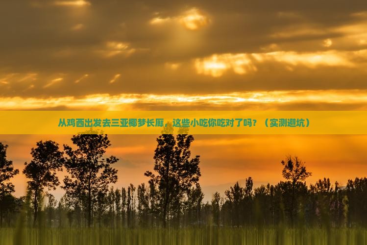 鸡西出发三亚椰梦长廊旅游小吃