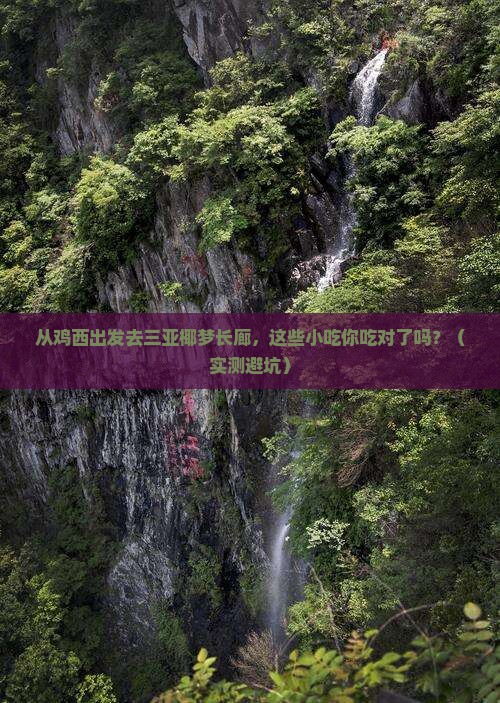 鸡西出发三亚椰梦长廊旅游小吃
