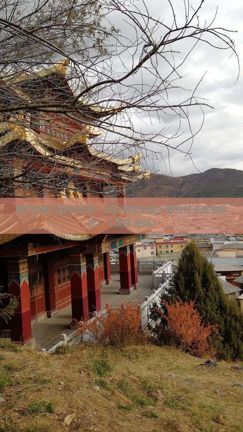 厦门出发三亚大东海旅游网红地点