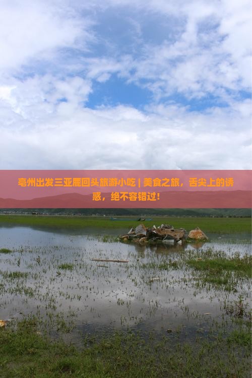 亳州出发三亚鹿回头旅游小吃
