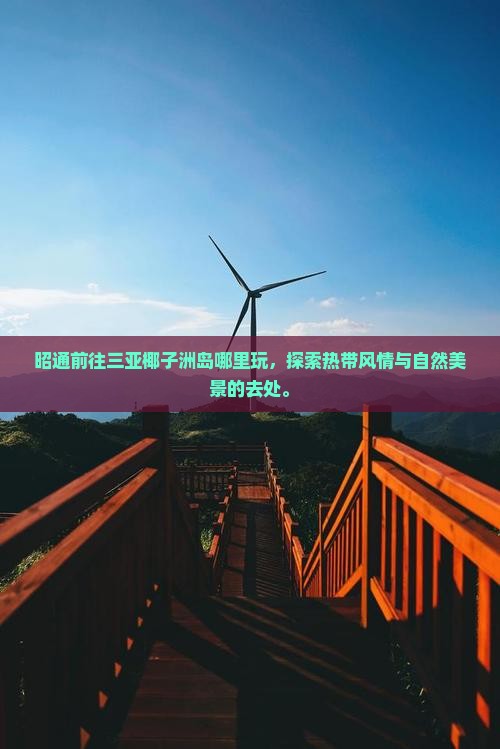 昭通前往三亚椰子洲岛哪里玩