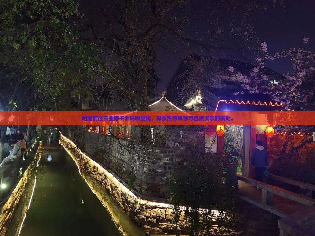 昭通前往三亚椰子洲岛哪里玩
