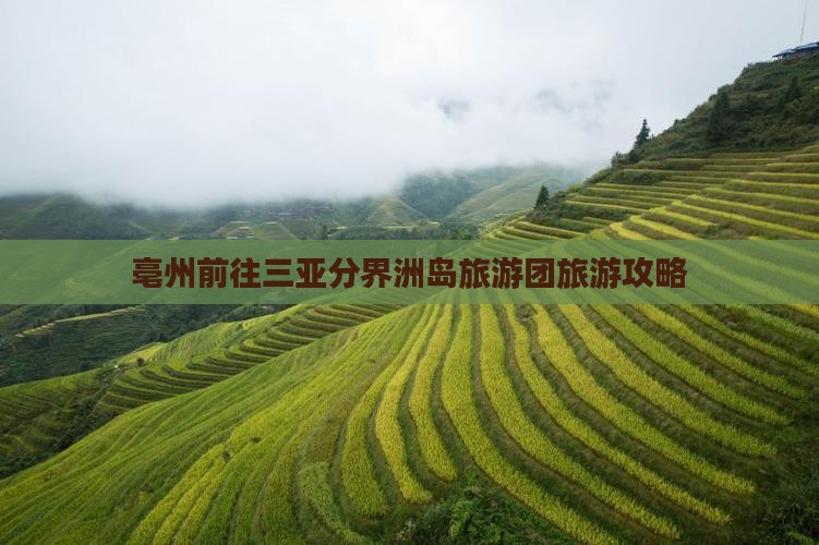 亳州前往三亚分界洲岛大型旅游团