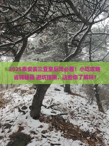 泰安去三亚皇后湾旅游小吃
