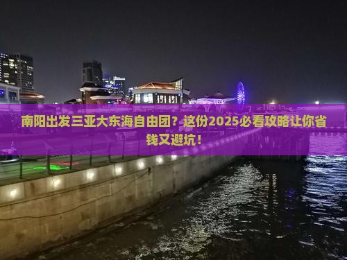 南阳出发三亚大东海自由团