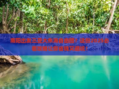 南阳出发三亚大东海自由团