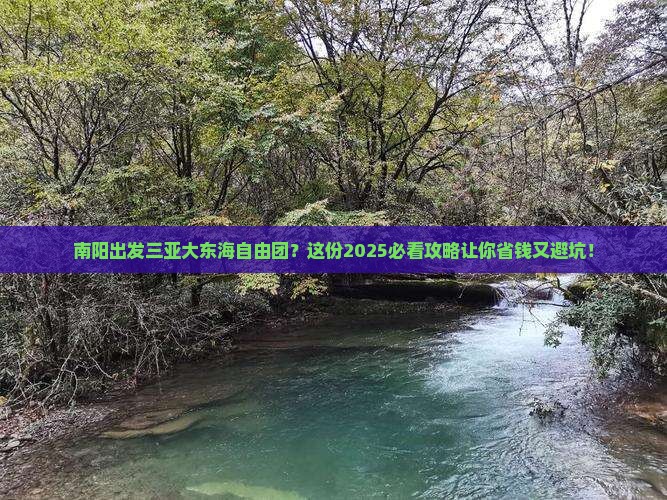 南阳出发三亚大东海自由团