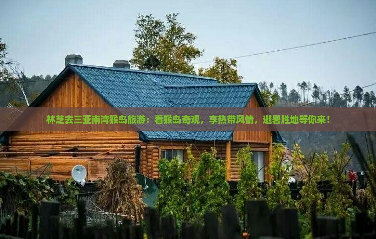 林芝去三亚南湾猴岛旅游