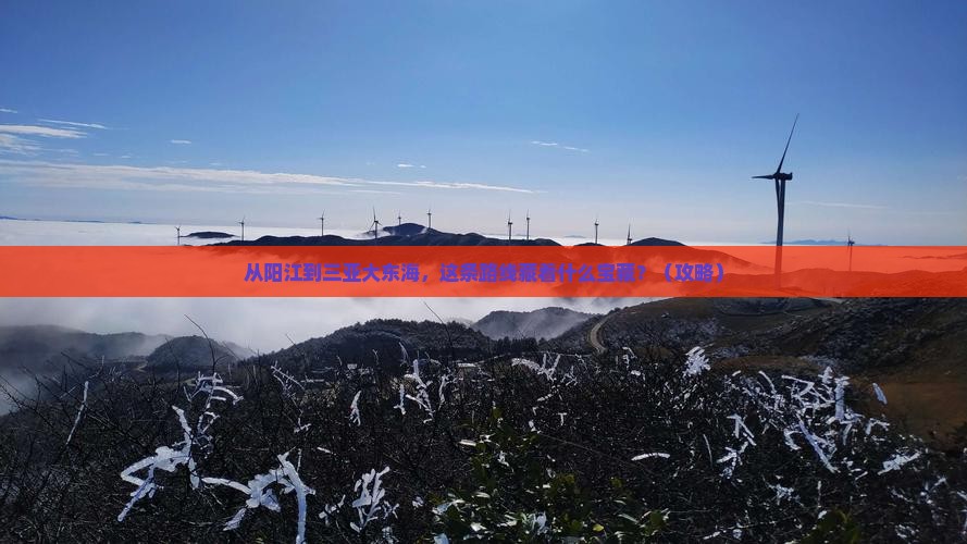 阳江前往三亚大东海必玩地