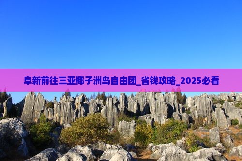 阜新前往三亚椰子洲岛自由团