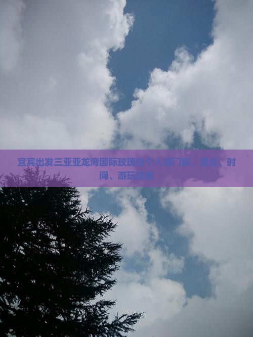 宜宾出发三亚亚龙湾国际玫瑰谷个人游