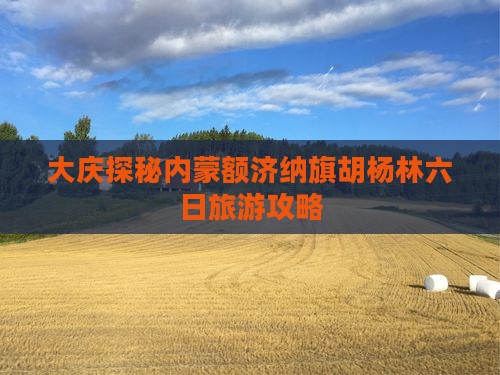 大庆探秘内蒙额济纳旗胡杨林六日旅游攻略