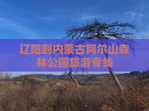 辽阳到内蒙古阿尔山森林公园旅游专线