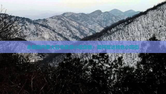永新到内蒙大召寺旅游小吃攻略：如何抵达特色小吃街
