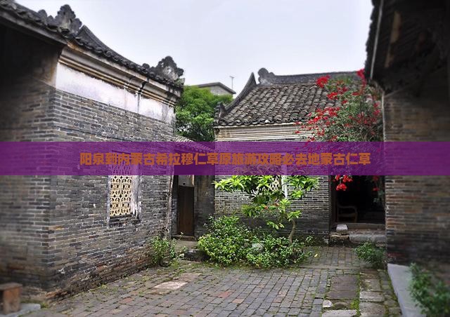 阳泉到内蒙古希拉穆仁草原旅游攻略必去地蒙古仁草