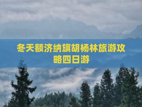 冬天额济纳旗胡杨林旅游攻略四日游