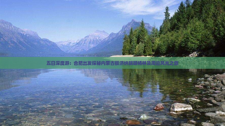 五日深度游：合肥出发探秘内蒙古额济纳旗胡杨林及周边风光之旅