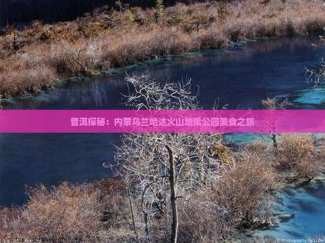普洱探秘：内蒙乌兰哈达火山地质公园美食之旅