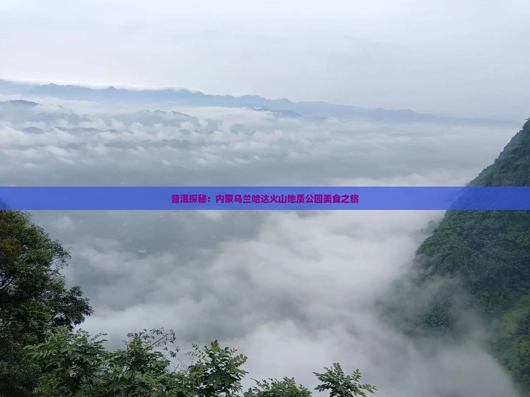 普洱探秘：内蒙乌兰哈达火山地质公园美食之旅