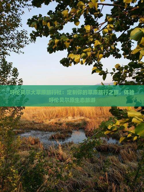 呼伦贝尔大草原旅行社：定制你的草原旅行之旅，体验呼伦贝尔原生态旅游